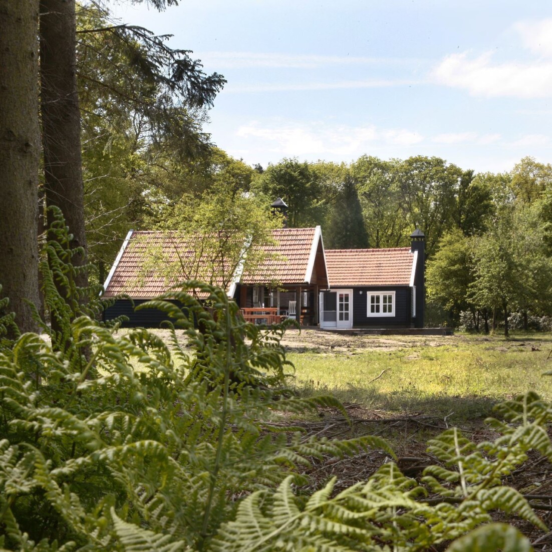Alle Woningen Van Staatsbosbeheer Buitenleven Vakanties alle-woningen-van-staatsbosbeheer-buitenleven-vakanties